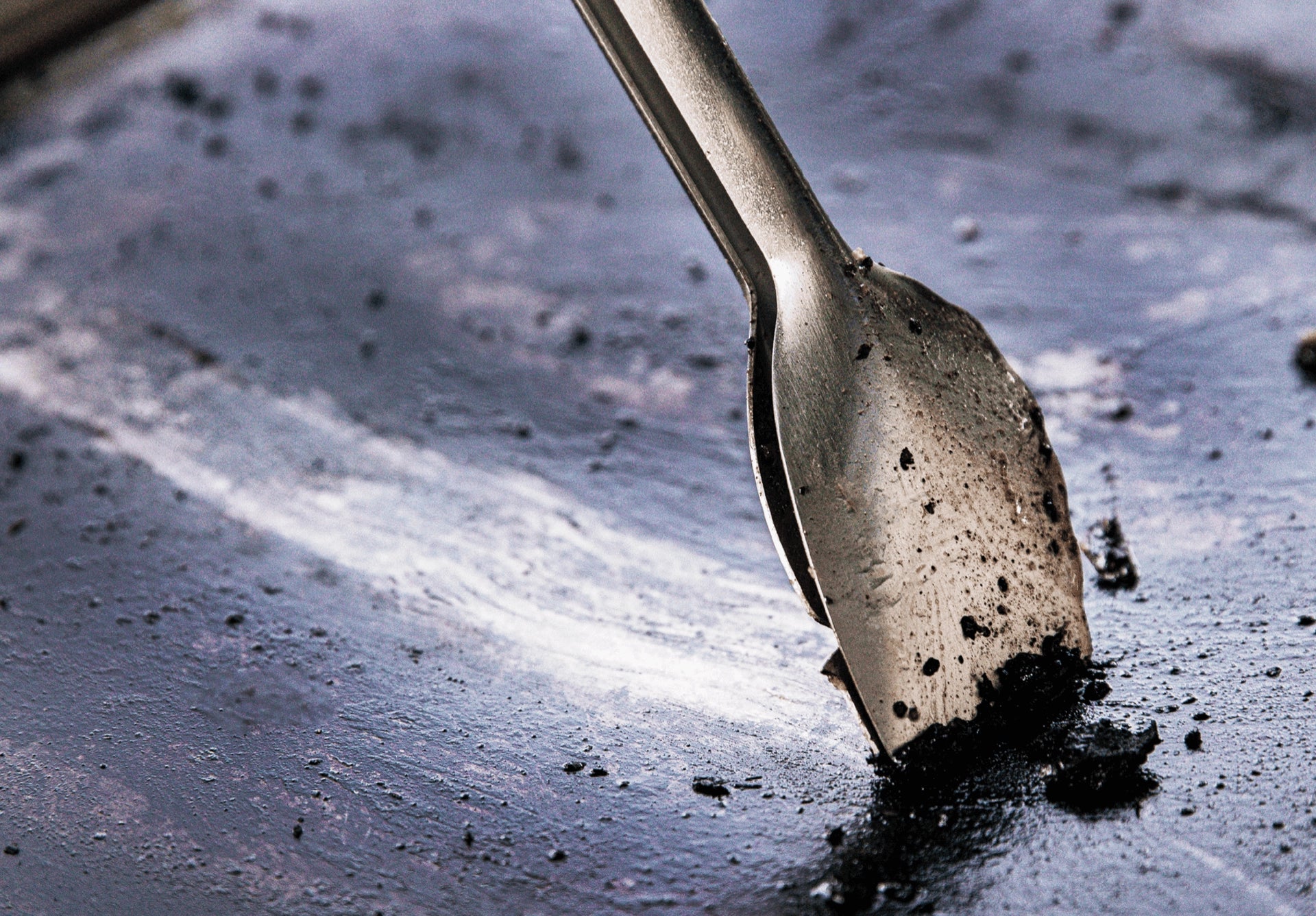 Dreamfarm BBQ Clongs S/S