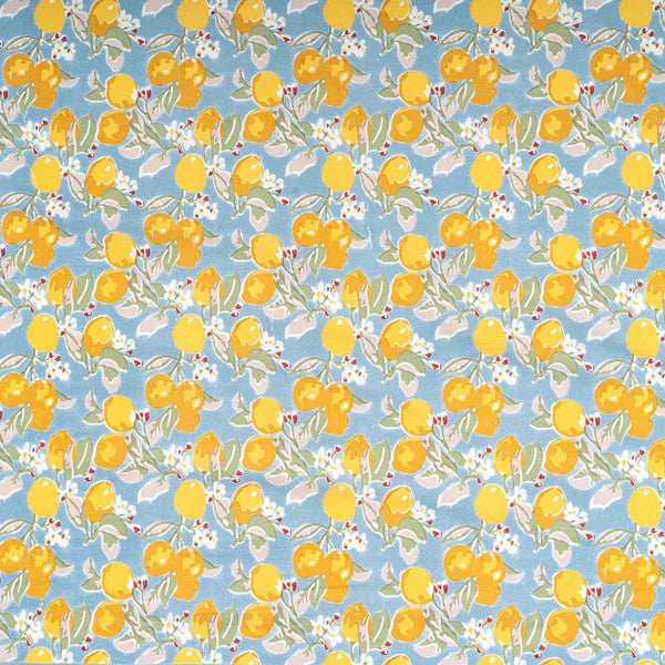 Citron Blue/Yellow Tablecloth