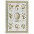 Tessitura Toscana - Cotton Tea Towel "Oilo"