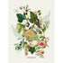 Garnier Thiebaut "Abondance Naturelle" Kitchen Towel
