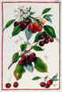 Tessitura Toscana - Tea Towel "Demeter Cherries"