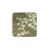 Pimpernel - Dogwood in Spring Cork-Backed Coaster (Set of 6)