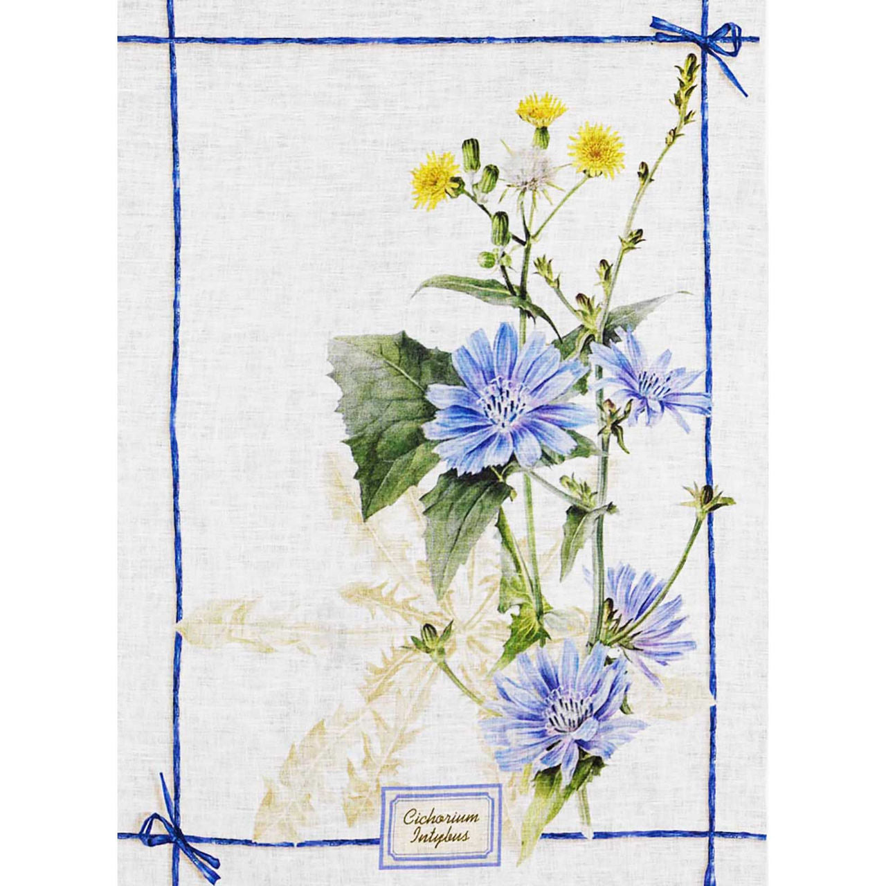 Tessitura Toscana - Linen Tea Towel "Fragrance Cicoria"