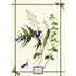 Tessitura Toscana - Linen Tea Towel "Fragrance Genziana"
