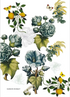 Garnier Thiebaut "Giardino Bleu" Kitchen Towel