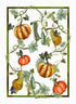Tessitura Toscana - Tea Towel "Kurbis Zucche"