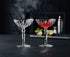 Nachtmann Noblesse Cocktail Glass