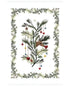 Tessitura Toscana - Tea Towel "Rudy Renna"