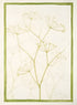 Tessitura Toscana - Linen Tea Towel "Selvatica Verde"
