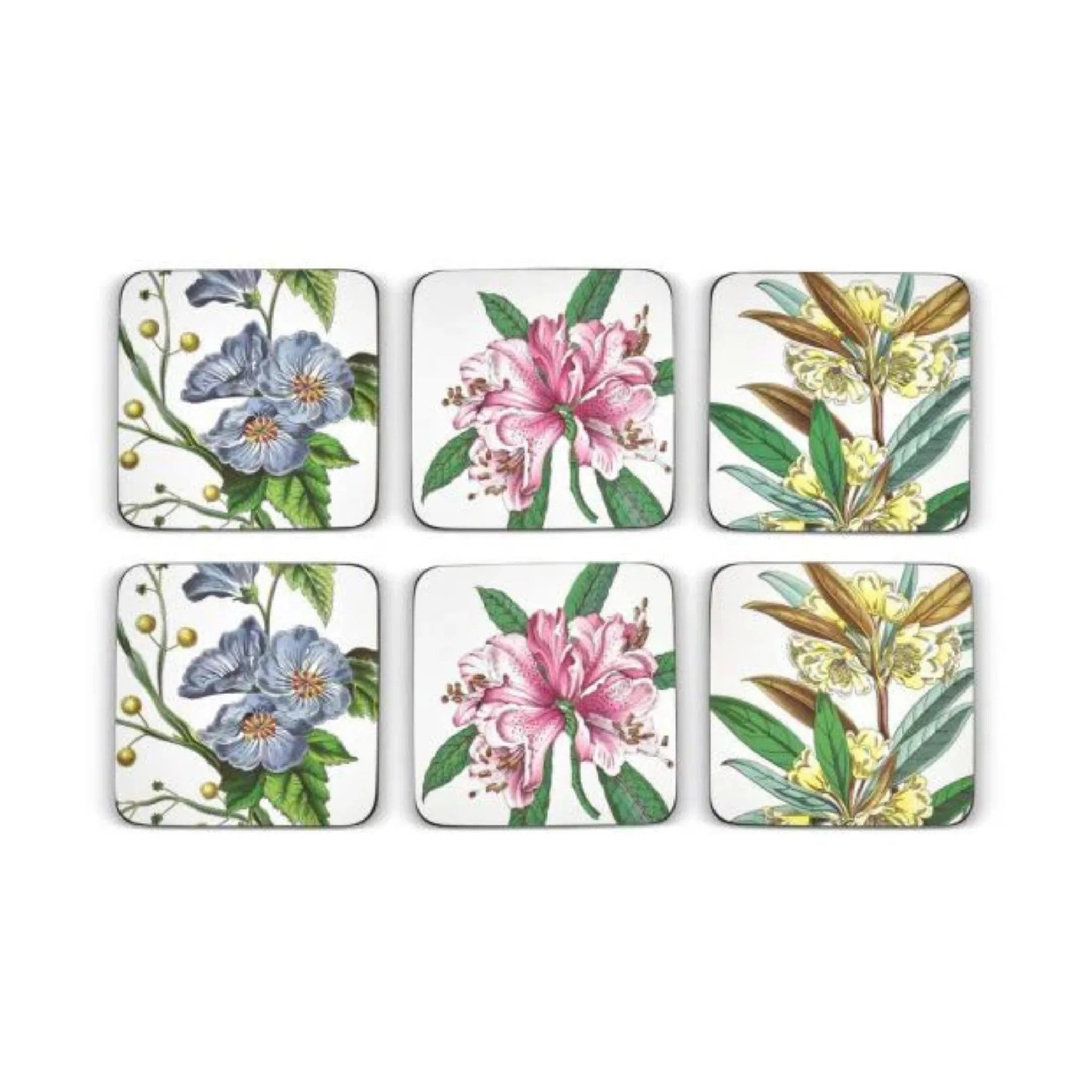 Pimpernel - Stafford Blooms Cork-Backed Coaster (Set of 6)