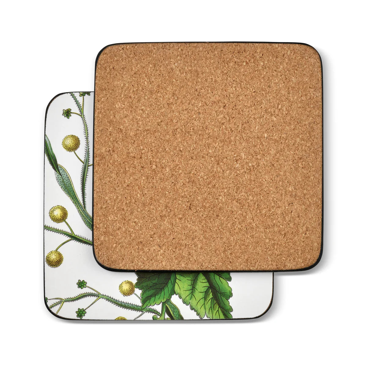 Pimpernel - Stafford Blooms Cork-Backed Coaster (Set of 6)