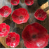 Prato - Poppies Mini Bowl 14cm