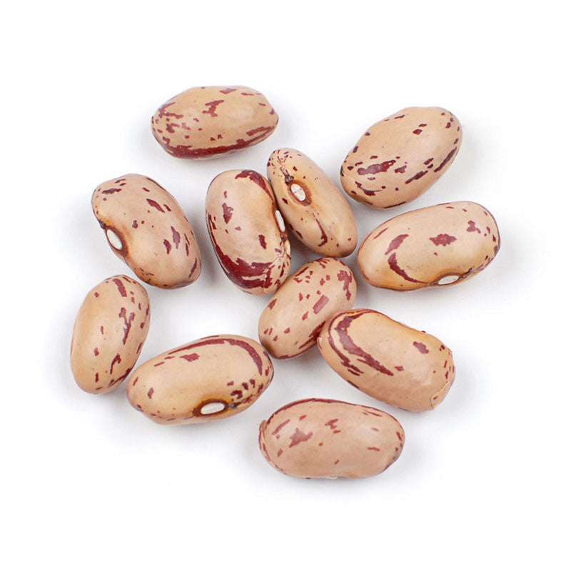 Cranberry (Borlotti) Beans - Organic